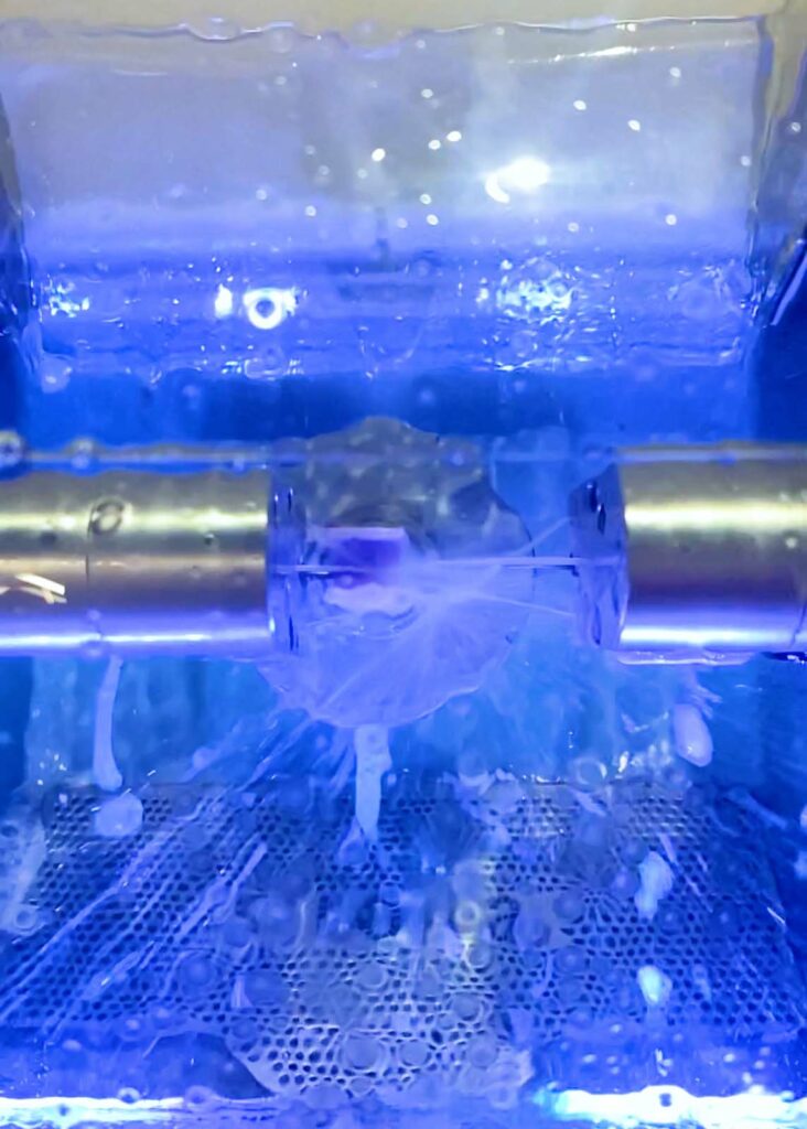 State of the art Digital Dentistry